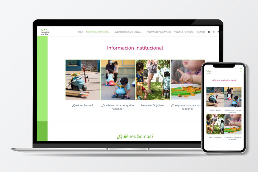 Diseño de Página Web para la ONG Conceptos Sencillos Sitios Web Institucionales para ONG´s
