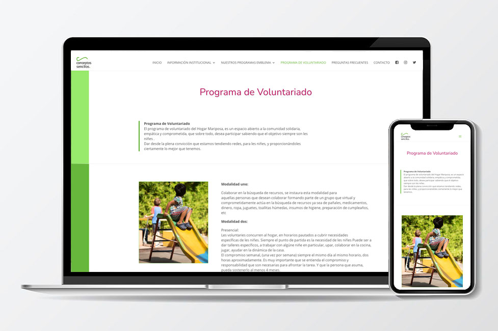 Diseño de Página Web para la ONG Conceptos Sencillos Sitios Web Institucionales para ONG´s